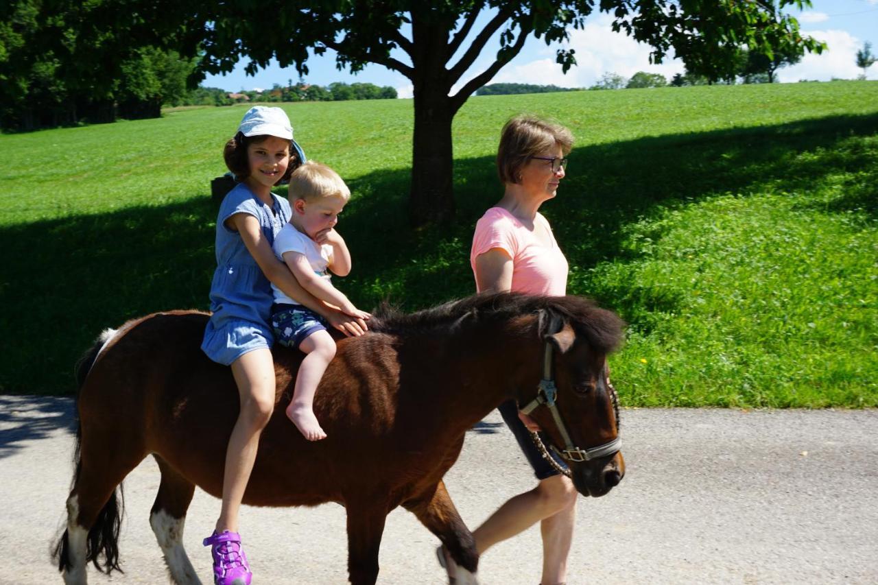 Kinderbauernhof Salmanner Steinbach an der Steyr Kültér fotó