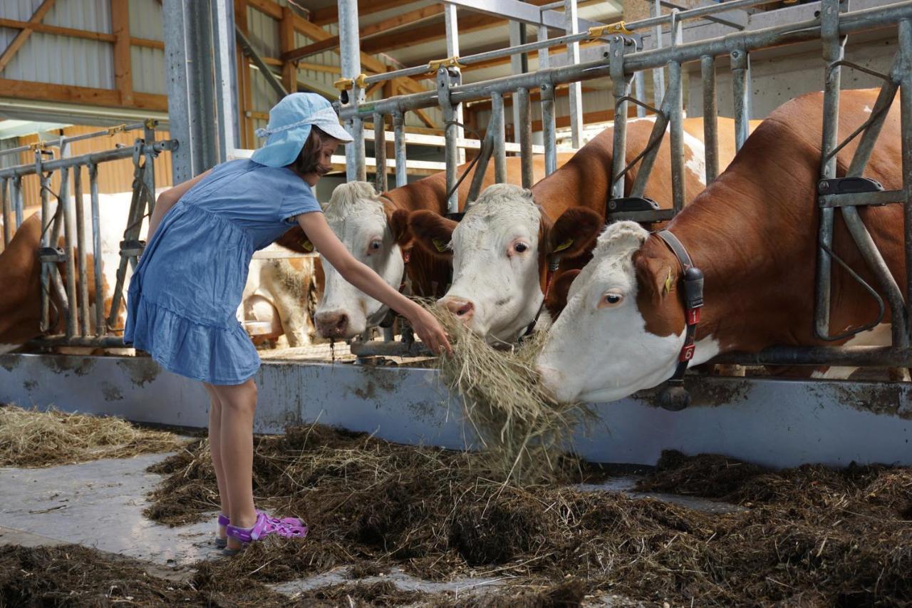 Kinderbauernhof Salmanner Steinbach an der Steyr Kültér fotó