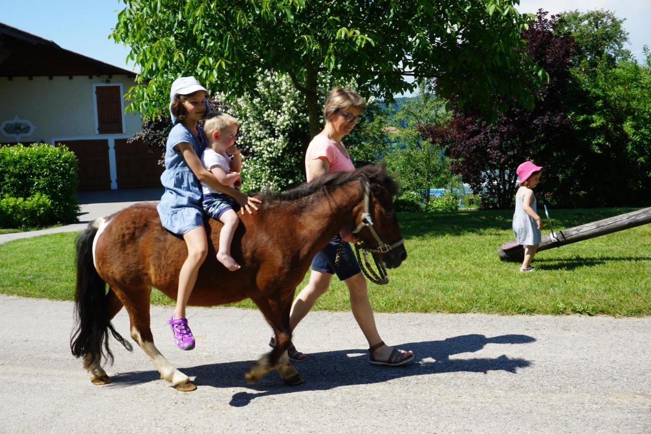 Kinderbauernhof Salmanner Steinbach an der Steyr Kültér fotó