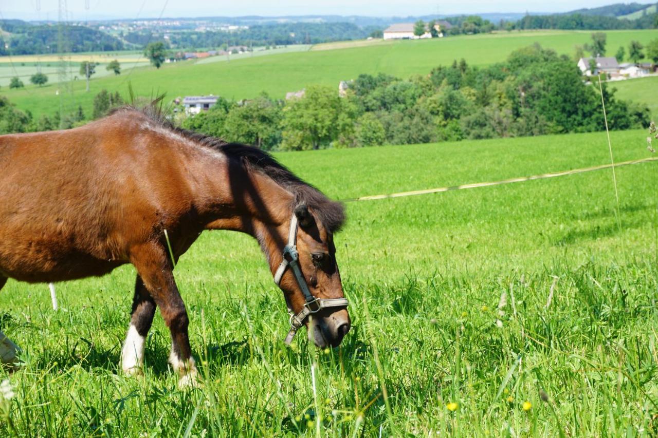 Kinderbauernhof Salmanner Steinbach an der Steyr Kültér fotó