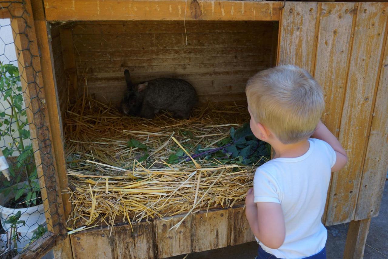Kinderbauernhof Salmanner Steinbach an der Steyr Kültér fotó