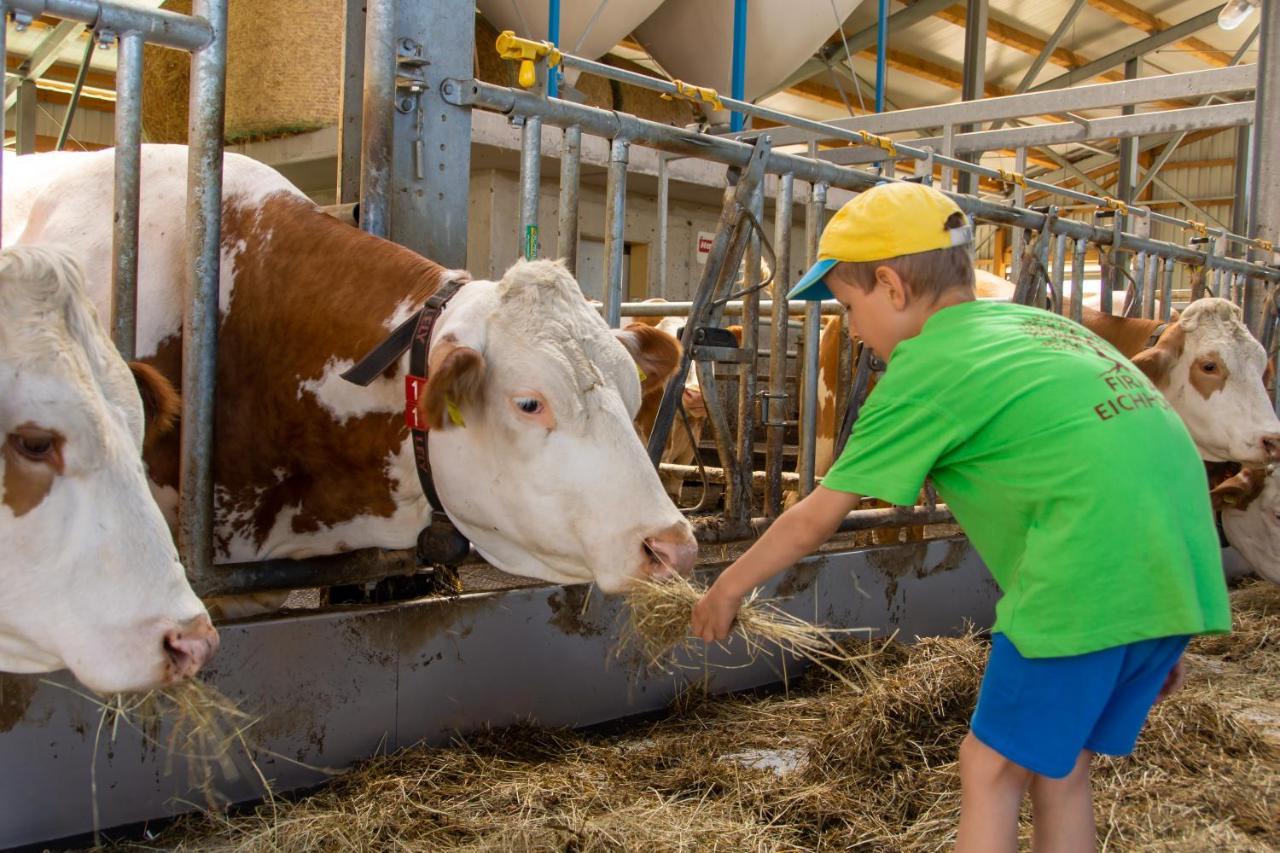 Kinderbauernhof Salmanner Steinbach an der Steyr Kültér fotó