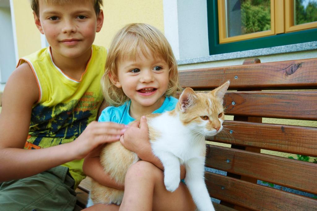 Kinderbauernhof Salmanner Steinbach an der Steyr Kültér fotó