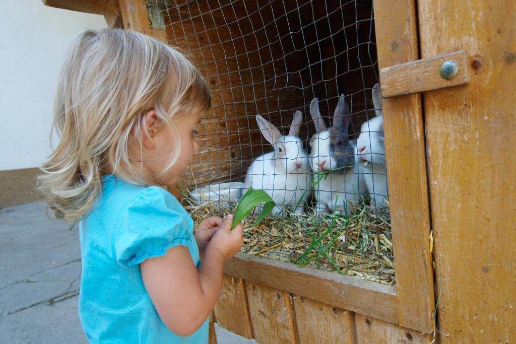 Kinderbauernhof Salmanner Steinbach an der Steyr Kültér fotó