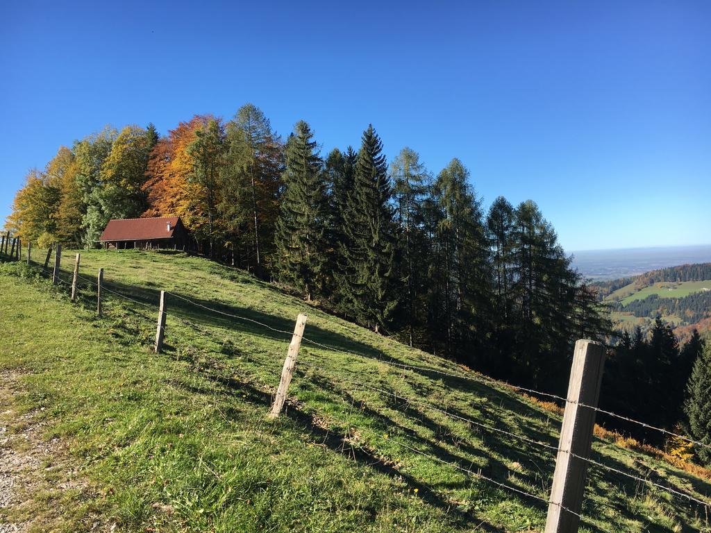 Kinderbauernhof Salmanner Steinbach an der Steyr Kültér fotó